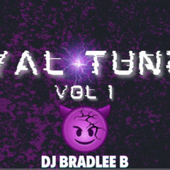 GYAL TUNES VOL 1 [EXPLICIT] | DJ BRADLEE B | MOODDD MIXX!!! ♨️