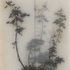 demo w/ hoàng - 空庭园