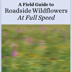A Field Guide to Roadside Wildflowers AT FULL SPEED | Wild Green Book Club
