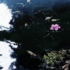 𝘳𝘢𝘳𝘦ꜝ