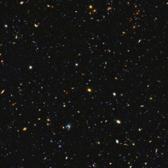 i told u I have bad taste