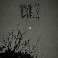 Black Night Comes