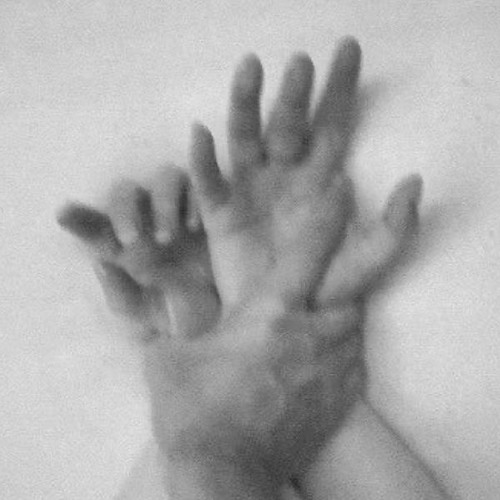 BIDITFYB.FEVERDREAMEDIT