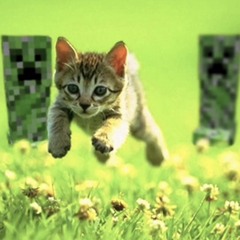 Diary entry one (feat. Eventides)