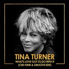 Tina Turner - What's Love Got To Do With It (CRs Funk & Groove Edit)