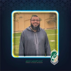 أحمد السعيد مندور - تلاوة خاشعة من سورة النور - يوم تشهد عليهم ألسنتهم وأيديهم