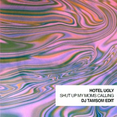 Hotel Ugly - Shut Up My Moms Calling (DJ Tamsom Remix)