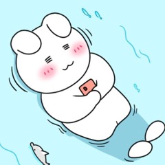 내 취향