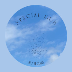 spacial dub
