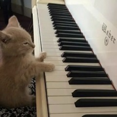 baby $to x yungsaint - trendsetters