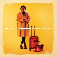Runaway (feat. Thione Seck)