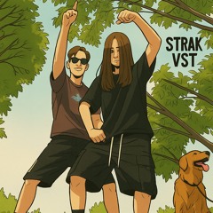 STRAKVST MIX