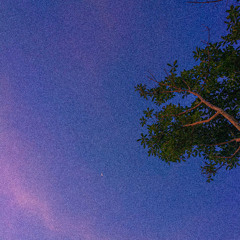 "MUSE" | Lofi Chill Beat - [ INSTRUMENTAL ]