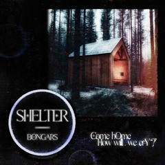 Shelter