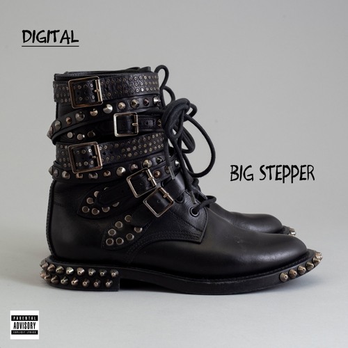 DIGITAL - Big Stepper