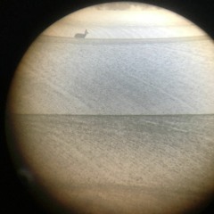 MINIATURE FOR BOO 1 - GO-ROUND