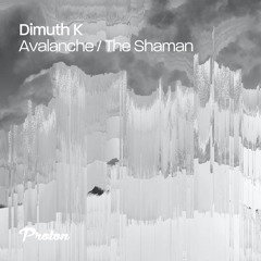 Avalanche / The Shaman