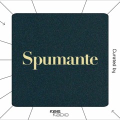 Curated #17.2 Spumante Records w/ Yanther