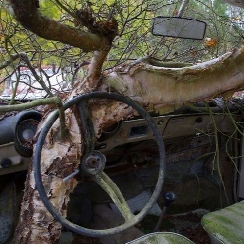 it could've been so simple, yet here we are