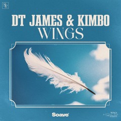 DT James & Kimbo - Wings