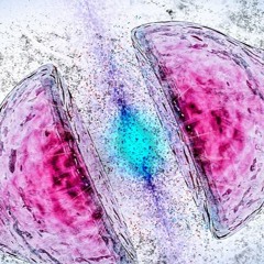Asymmetrical Synthesis #3