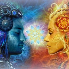 Universal Law
