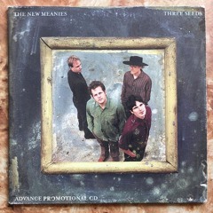 Beer Jam (live at 1998 Three Seeds album release)