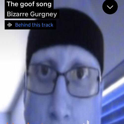 the goof song 2