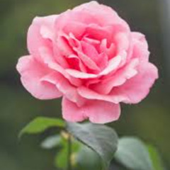 낯선 친구 (Stranger Friends)