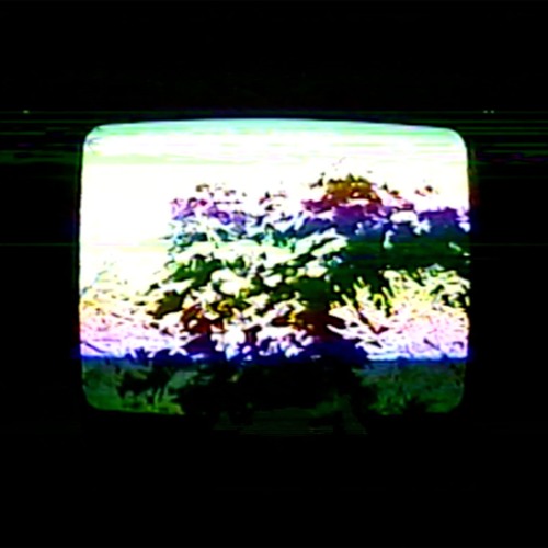 split.integration [w/ lonewitch] [sold]