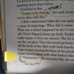 Happamine (Work in Progress)