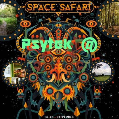Psytek @ Space Safari 2018 (Psybient / Breakbeat / IDM)