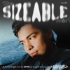 Download Video: The Sizeable Mix Vol. 20: DHC