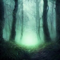 1. Magical Haunted Forest