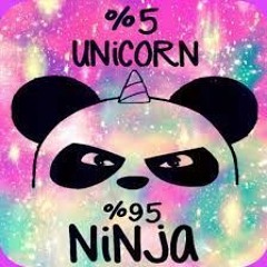 unicorn ninja anthem  w/ rofl (keta)