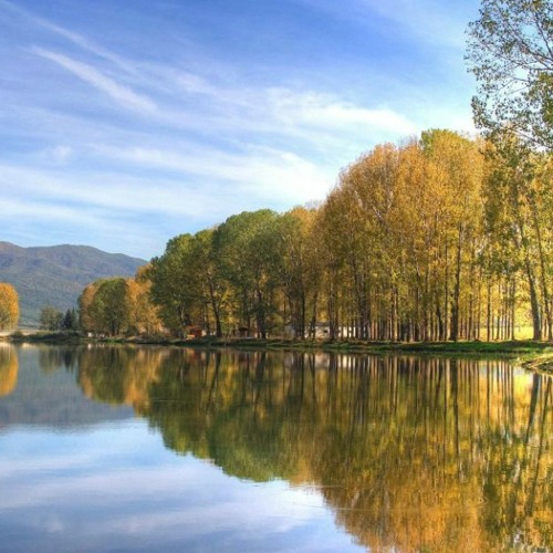 ไบโอพิคบิโอริทโม HELLDIVERS background music (FREE DOWNLOAD)