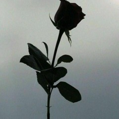 Lovely Rmx