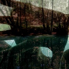 Mojca Kamnik - Reflection Of An Echo
