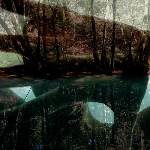 Mojca Kamnik - Reflection Of An Echo