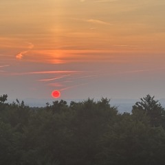 Psychedelikate summer solistice