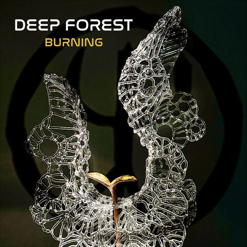 Deep Forest