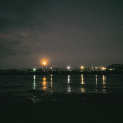 Night Circus