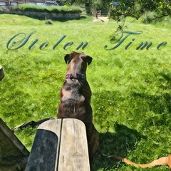 Stolen Time