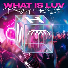 Rafael, Mita Gami - What Is Luv (Mau P - Like I Like It Edit) FREE DL