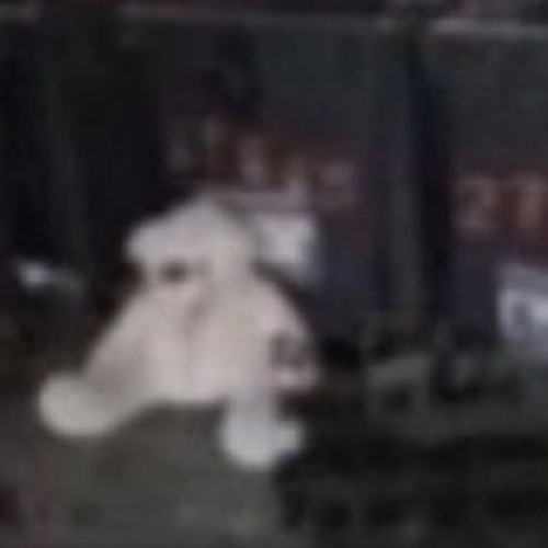 D3