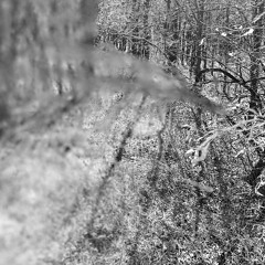 DOPPELGÄNGER SHADOWBOX - SNUFFED