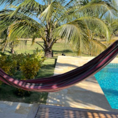 2025-02-12 Vision de piscine