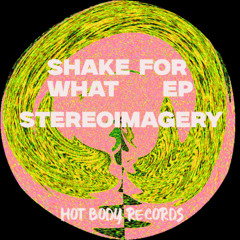 Stereoimagery - Louisiana Lover