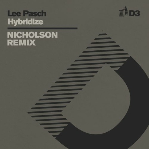 Lee Pasch - Hybridize - Nicholson Remix