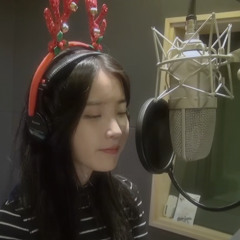 12월 24일